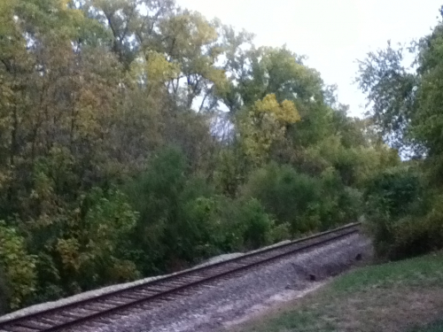 Michael Shaw - adult amateur A view of Burcham Park across the tracks Burcham Park