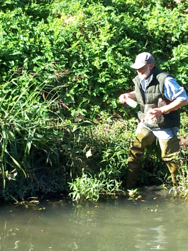 Wading into the creek running through Clinton Park to pick up litter. Paul