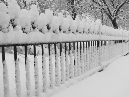 Snow Fence