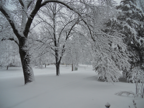 Winter Archway